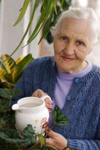 shutterstock_55758220-min